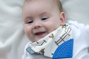 Picture for category Teething Bibs