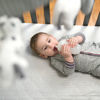 Picture of Gentle Bottle Slow Flow Nipples 0-3M (2pk)