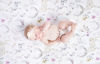 Picture of Fawn Jersey Crib Sheet- Blush