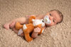 Picture of Barkley Bull Dog Shakies - Paci Plushie | by Nookums