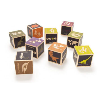 Picture of Dinosaur Blocks