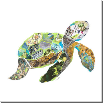 Picture of Collage Turtle - 16" X 16 | BFPK Artwork