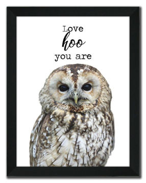 Picture of Animal Talk Owl - 12" X 16