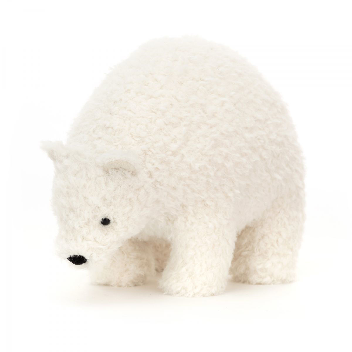 perry polar bear medium