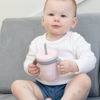 Picture of Blush Straw Set - by Bella Tunno