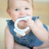 Picture of Dog Rattle Teether | BellaTunno