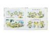Picture of A Fantastic Day for Finnegan Frog Book | Books by Jellycat