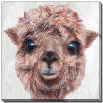 Picture of Alpaca III - 24" x 24" | BFPK Artwork