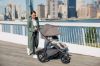 Picture of Uppa Baby Ridge Jogging and All Terrain Stroller -Theo (Dark Taupe on Carbon Frame)