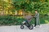 Picture of Uppa Baby Ridge Jogging and All Terrain Stroller -Theo (Dark Taupe on Carbon Frame)