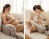 Picture of Pregnancy Pillow - Seashell