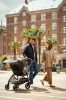 Picture of Swiv Compact Stroller - Cedar  | Nuna