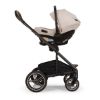 Picture of Pipa Aire RX - Biscotti | by Nuna