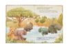 Picture of It's a Big World Bartholomew | Books by Jellycat