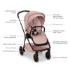 Picture of Triv Next + Pipa Aire Rx + Lytl Bassinet - Thistle | by Nuna