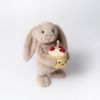 Picture of Bashful Beige Bunny 'Birthday' | Bashfuls by Jellycat