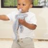 Picture of Pacifier Buddy Evie the Elephant | Bella Tunno