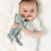 Picture of Pacifier Buddy Freddie the Frog | Bella Tunno