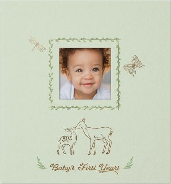 Picture of Baby's First Years | Cottage Door Press