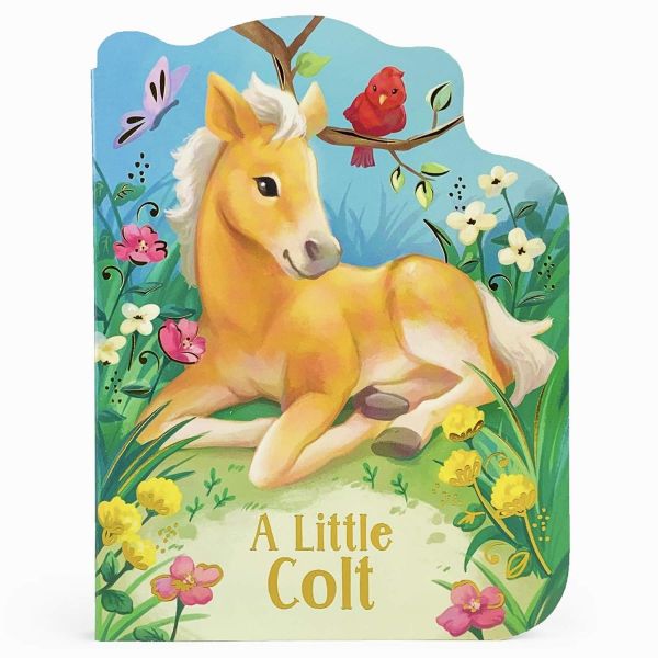 Picture of A Little Colt Shaped Board book | Cottage Door Press