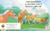 Picture of A Little Colt Shaped Board book | Cottage Door Press