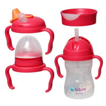Picture of Transition Value Pack - Raspberry | B.Box Baby