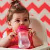 Picture of Transition Value Pack - Raspberry | B.Box Baby