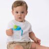 Picture of Transition Value Pack - Blueberry | B.Box Baby
