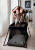 Picture of Travel Crib Light Bundle - Black | Baby Bjorn