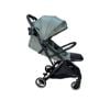 Picture of Mini Flip - Dark Forest Green | Cangaroo