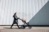 Picture of Urban Glide 3 Tined Taupe | Thule