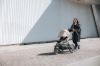 Picture of Urban Glide 3 Tined Taupe | Thule