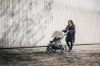 Picture of Urban Glide 3 Tined Taupe | Thule