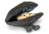 Picture of Michelle Mussel | Amuseables by Jellycat