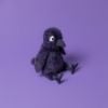 Picture of Hocus Crow | Mad Menagerie by Jellycat