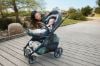 Picture of Cruz V3 Stroller - Evelyn - Meadow/Graphite/Chestnut | Uppa Baby