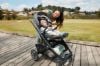 Picture of Cruz V3 Stroller - Evelyn - Meadow/Graphite/Chestnut | Uppa Baby