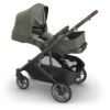 Picture of Cruz V3 Stroller - Evelyn - Meadow/Graphite/Chestnut | Uppa Baby