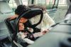 Picture of ARIA V2 - Savannah - Pearl Gray | Uppa Baby