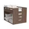 Picture of Carlson Full/Full Bunkbed - Harvest Brown | Westwood Furniture
